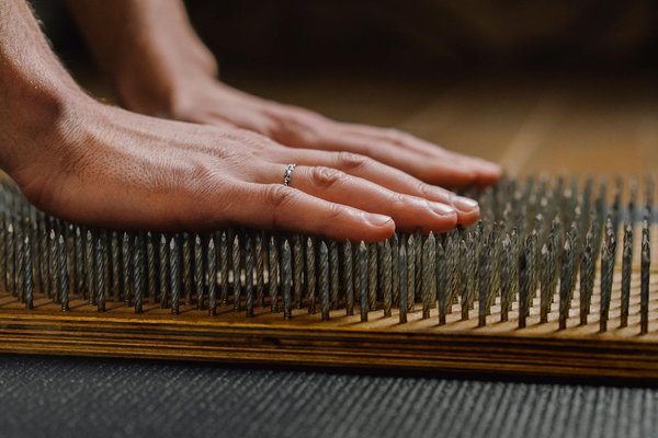 Végétarien vs Végétalien : Comprendre Les Différences Essentielles